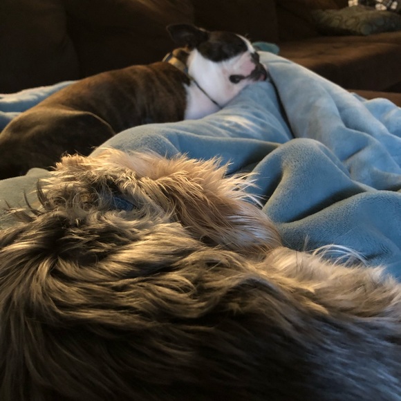 Meet your Posher, Jennie - Picture 1 of 1